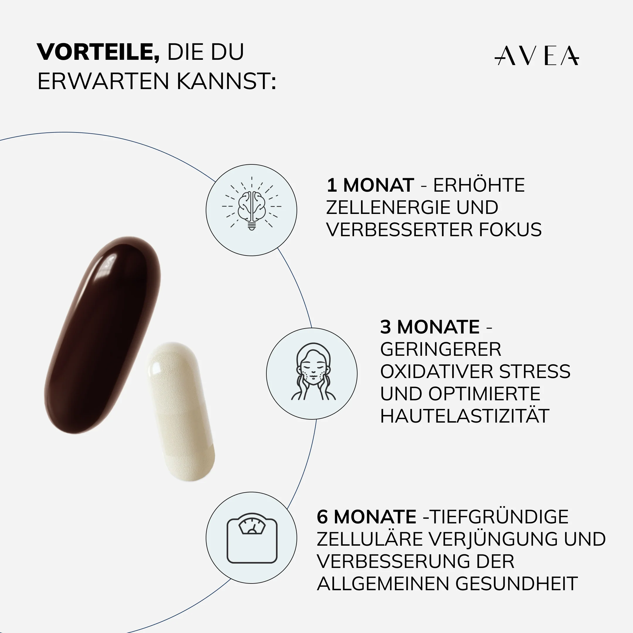 Vitality Bundle - Image 9