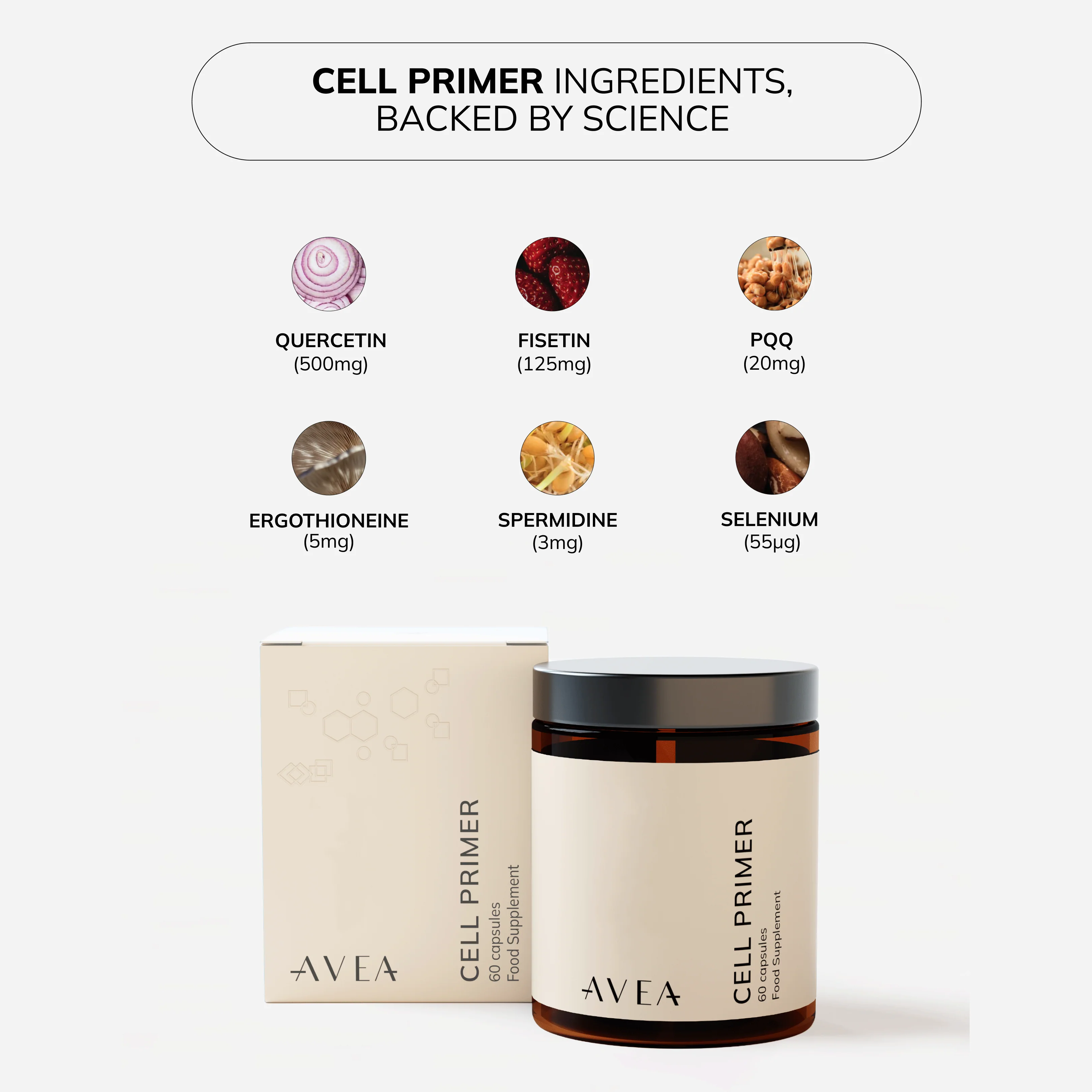 Cell Primer - Image 15
