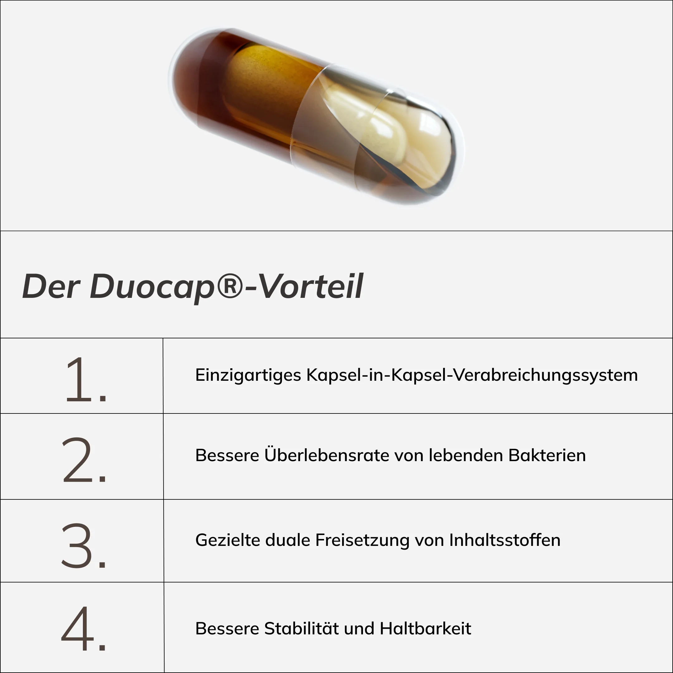 Inflammaging Routine - Image 12