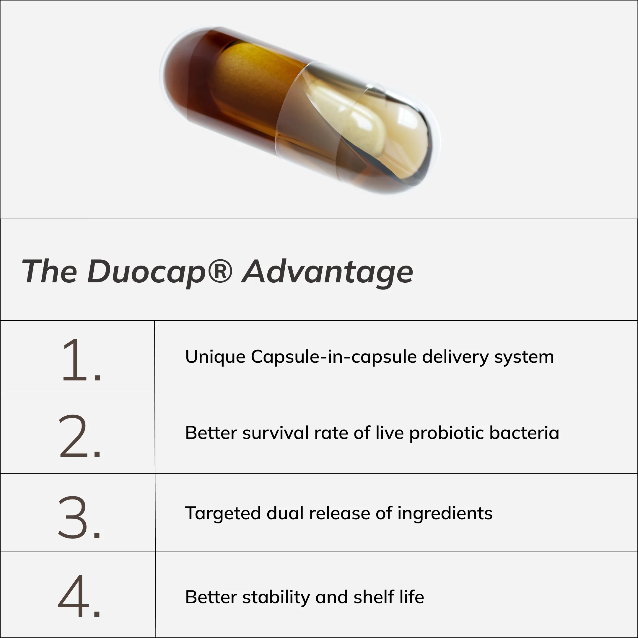 Inflammaging Routine - Image 13