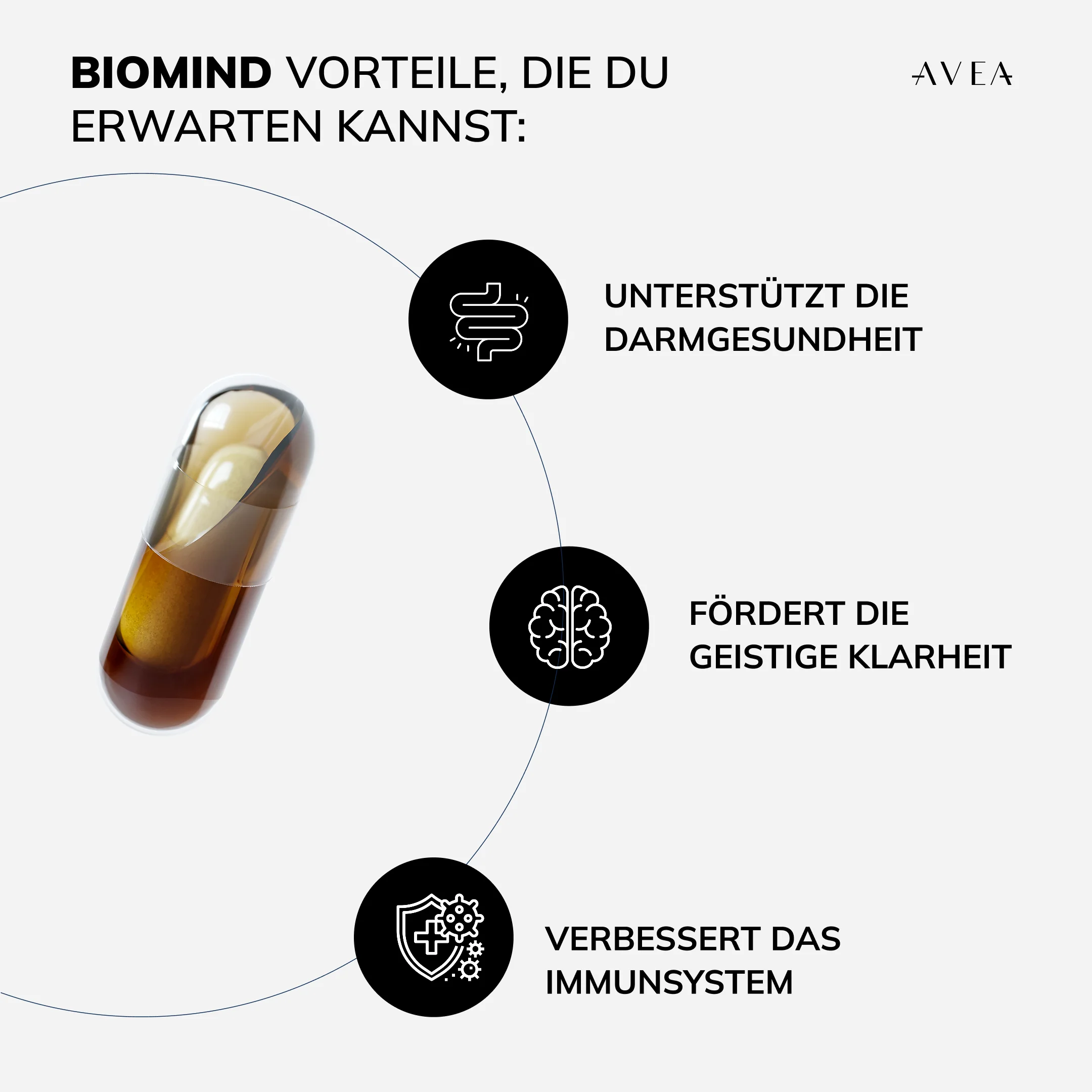 Inflammaging Routine - Image 6