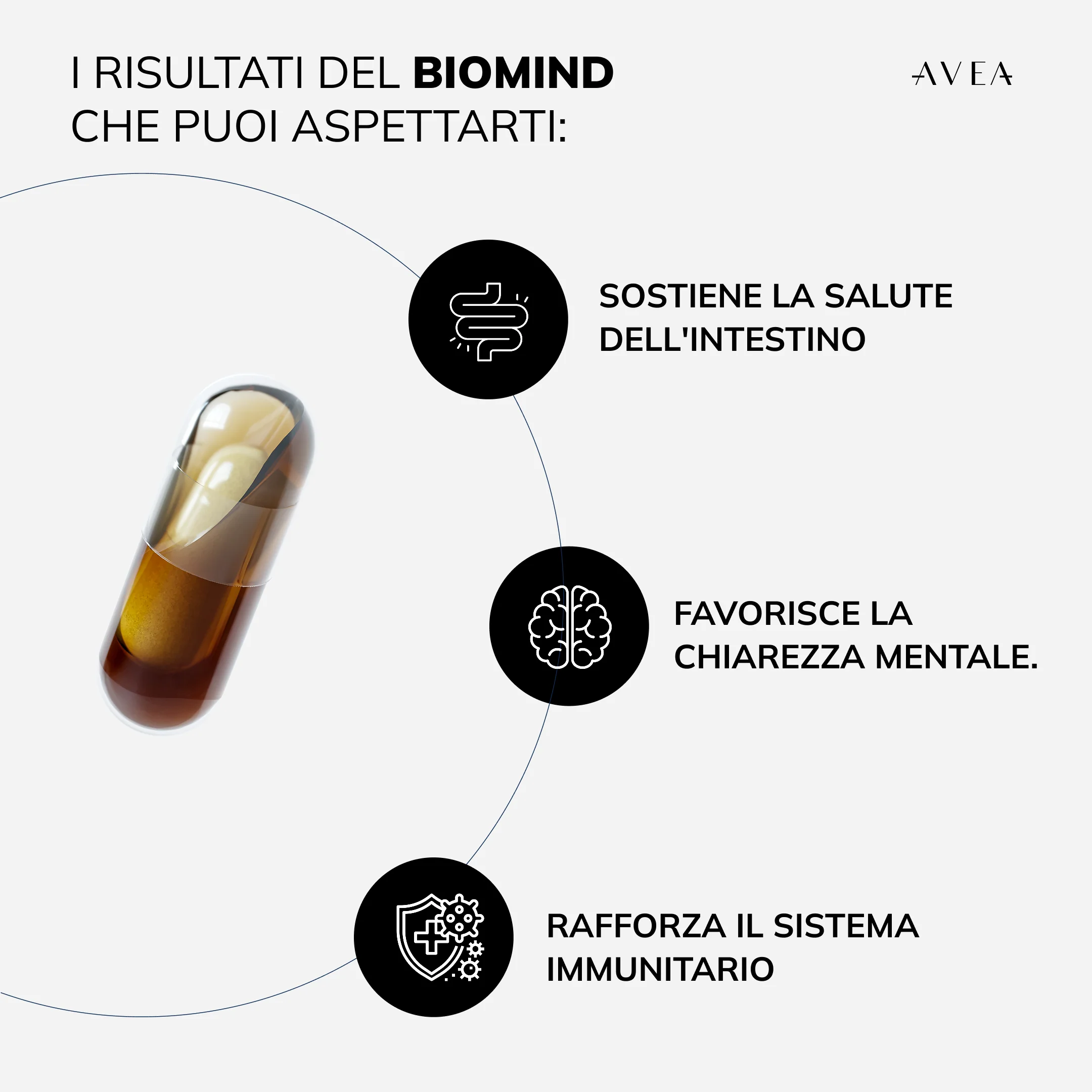 Inflammaging Routine - Image 7
