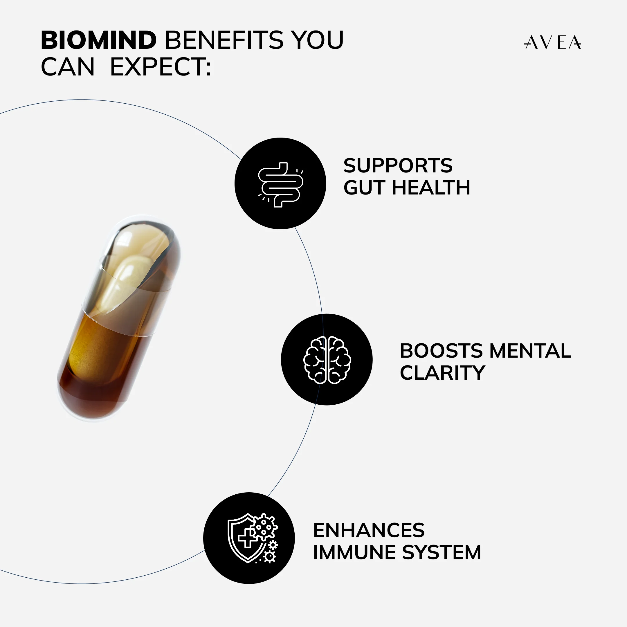 Inflammaging Routine - Image 8