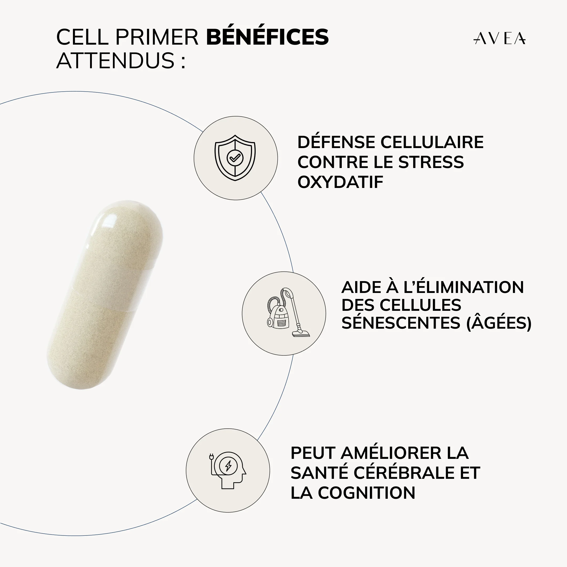Cell Primer - Image 8