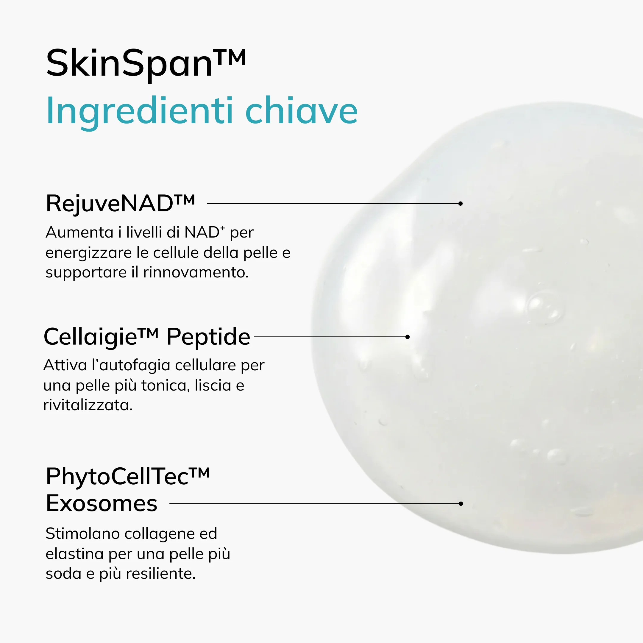 Skinspan™ Advanced Skin Serum - Image 12